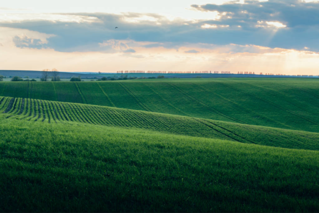 Importanța și avantajele irigării terenurilor agricole pentru productivitatea și calitatea culturilor